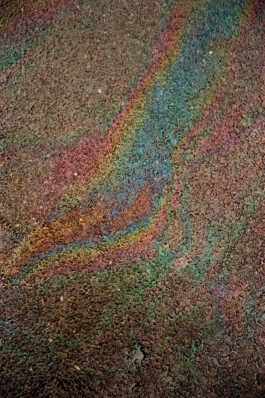 perception and misperception 