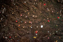 perception and misperception 