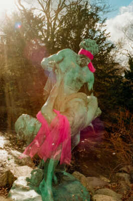 perception and misperception 