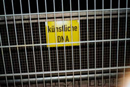 perception and misperception 