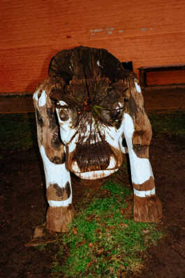 perception and misperception 