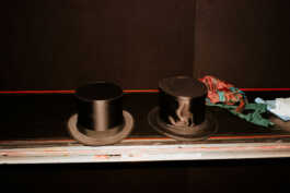 perception and misperception 