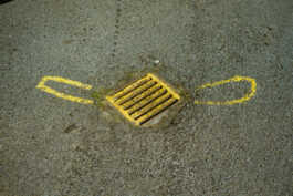 perception and misperception 