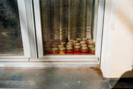 perception and misperception 