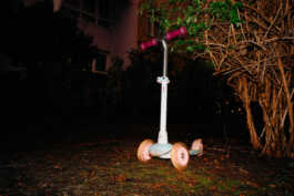 perception and misperception 