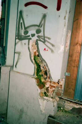 perception and misperception 