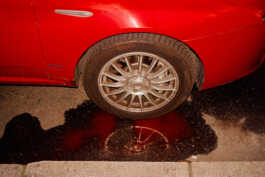 perception and misperception 