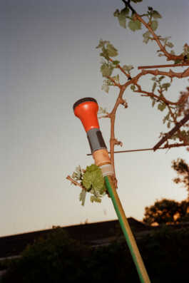 perception and misperception 