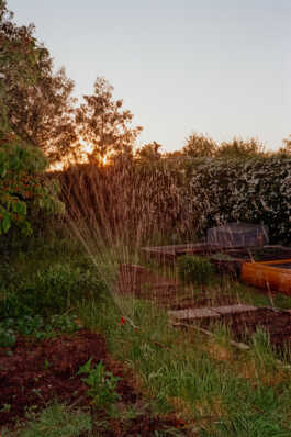 perception and misperception 