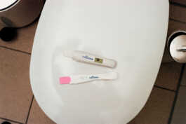 perception and misperception 