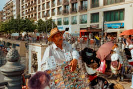 perception and misperception 