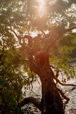 perception and misperception 