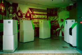 perception and misperception 