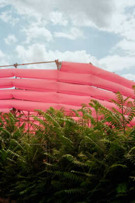 perception and misperception 