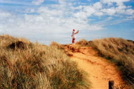 perception and misperception 