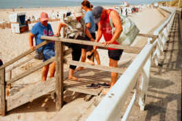 perception and misperception 