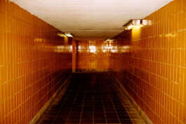 perception and misperception 