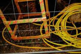 perception and misperception 