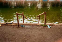 perception and misperception 