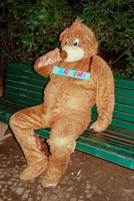 perception and misperception 