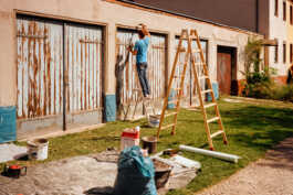 perception and misperception 