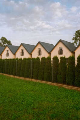 perception and misperception 