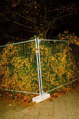 perception and misperception 