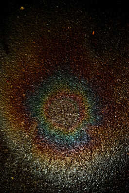 perception and misperception 