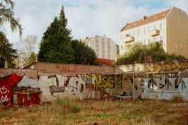 perception and misperception 