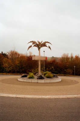 perception and misperception 