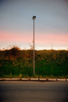 perception and misperception 