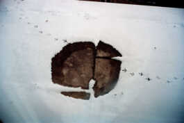 perception and misperception 