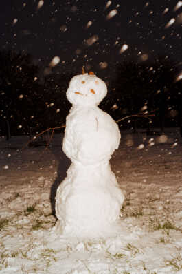 perception and misperception 