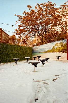 perception and misperception 