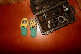 perception and misperception 