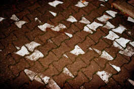 perception and misperception 