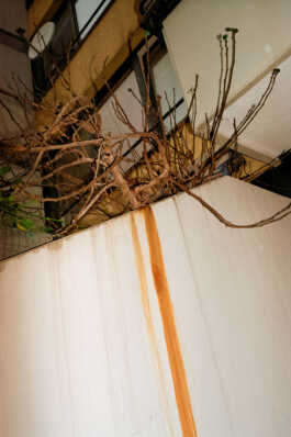 perception and misperception 