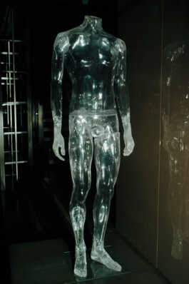 perception and misperception 