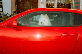 perception and misperception 