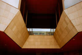 perception and misperception 