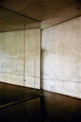 perception and misperception 