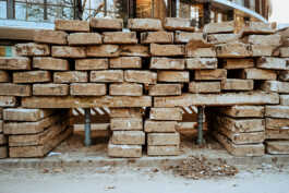 perception and misperception 