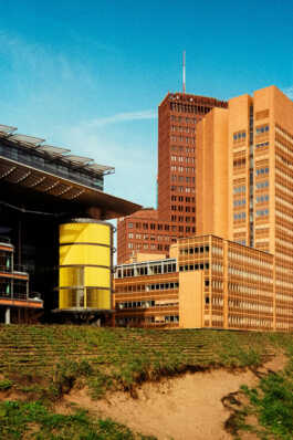 perception and misperception 