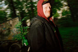 perception and misperception 