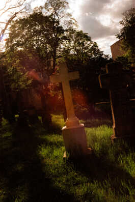 perception and misperception 