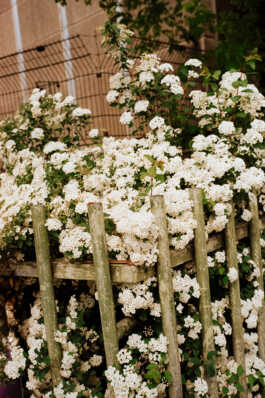 perception and misperception 