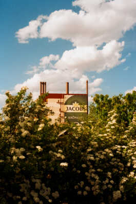 perception and misperception 