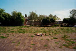 perception and misperception 