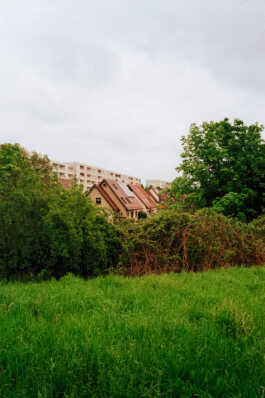 perception and misperception 