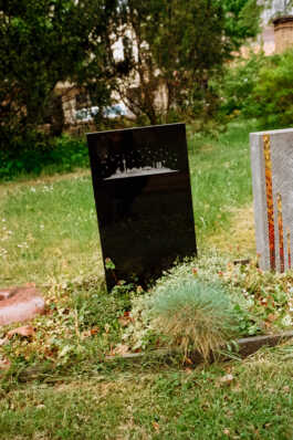 perception and misperception 